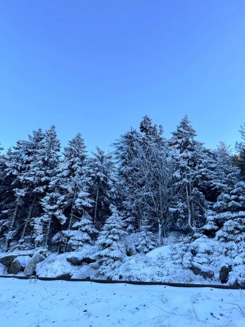 🇩🇪 Day Trip from Berlin: Harz Mountains ⛰️ | Ultimate Guide