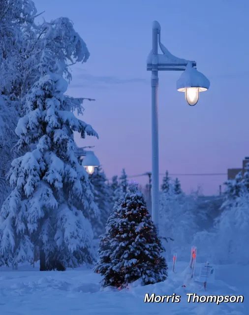 Complete Winter Guide to Fairbanks