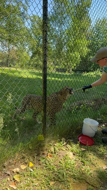 Canada | A Day Trip to Vancouver Zoo 🦁🐒