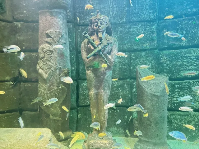 Antalya Aquarium - A Rainy Day Adventure 🌧️🐠