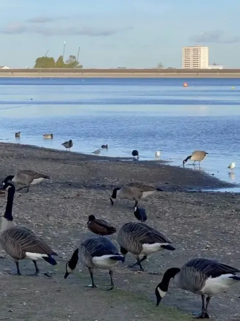 🇬🇧 Birmingham Hidden Gem for a Walk ⛲️ Only locals know…