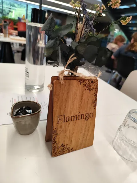 A Truly Magical All-Round Experience! 🦩