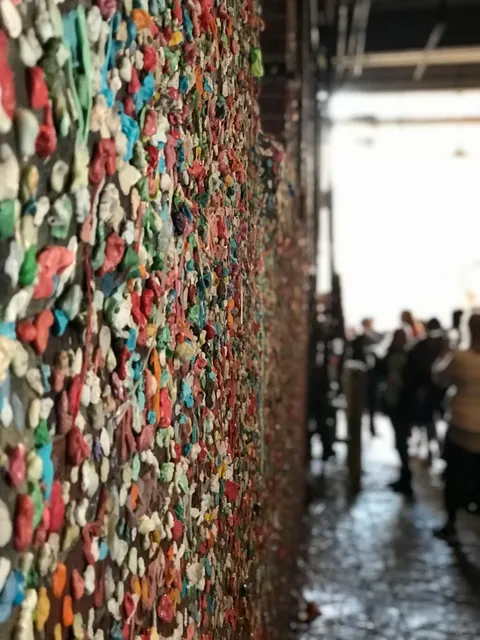 🌲 Gum Wall: Gross or Genius? 🤢💖