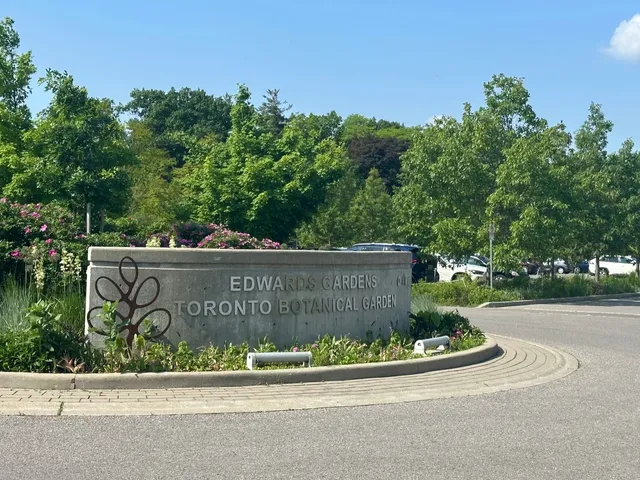 ​​🌿 Toronto's Hidden Urban Forest Escape 