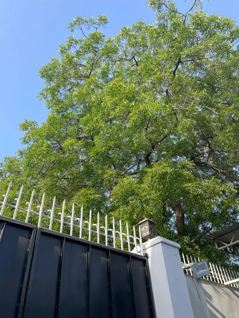 Real Pakistan Experience: A Journey Beyond Expectations