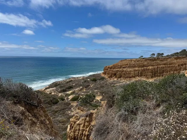 🌲 So Impressed by Torrey Pines State Natural Reserve in San Diego!