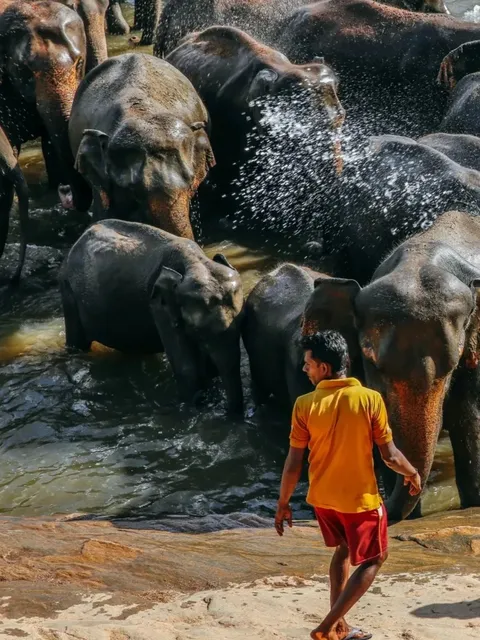 Why choose to travel to Sri Lanka?