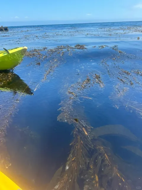 🏝️ Santa Barbara | Channel Islands Kayaking & Hiking