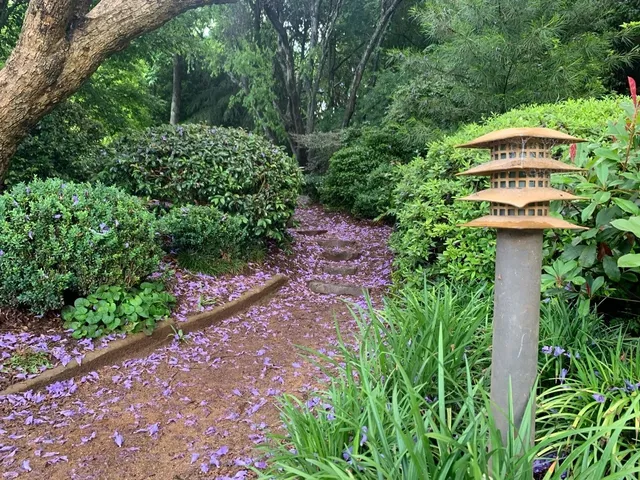  First Time in Toowoomba: A Solo Trip to the Japanese Garden 🌸