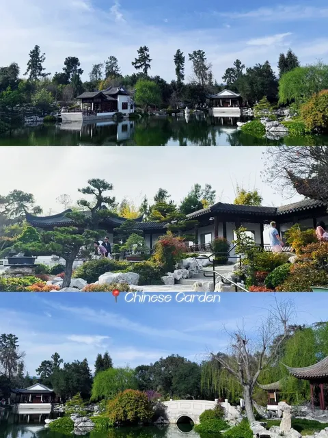 Spring is the Perfect Time to Visit Huntington Library! 🍵🌸