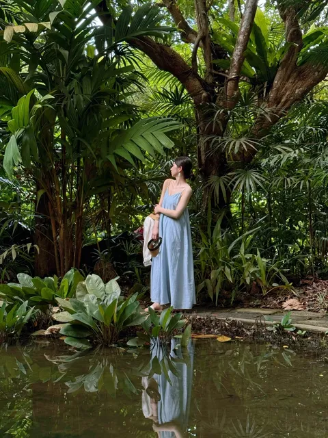 Absolutely in Love with Singapore Botanic Gardens 🌴