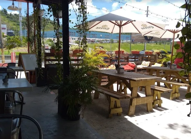  The Full Experience at El Vagon Food Truck