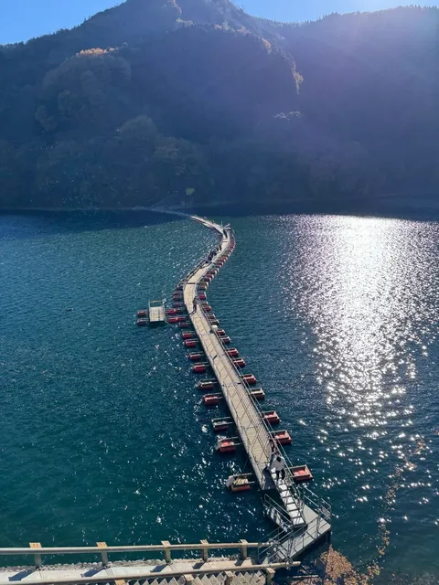 Late Autumn at Okutama Lake: Healing & Strength
