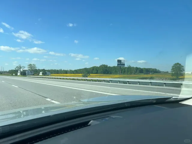 Amazing Noodle Shop - Kung Fu Noodle​