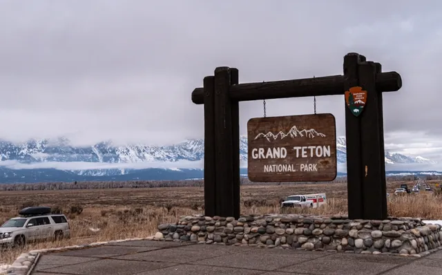  Grand Teton | Guide to Spotting Moose in the South of Grand Teton