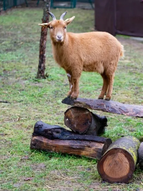 A Hidden Treasure Playground Near Paris! A Must-Visit for Families