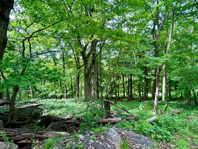 Cold Spring Hiking Guide for Nature Lovers 🌿