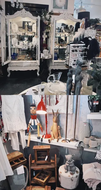 🇳🇿 Martinborough | Wellington’s Charming Wine Country Escape 🍇✨