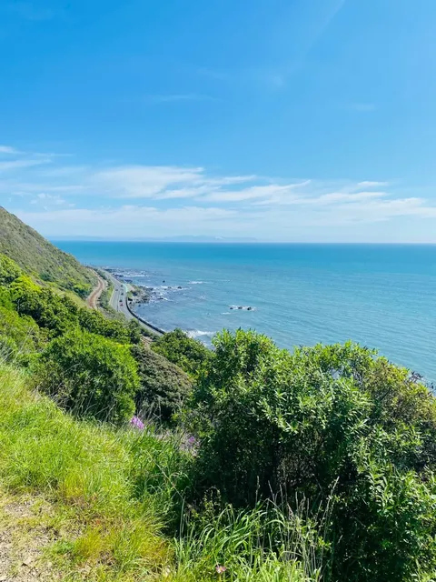 Wellington's Most Exhausting & Breathtaking Hike! 😅🌊