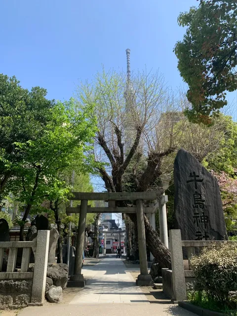Ushijima Shrine 