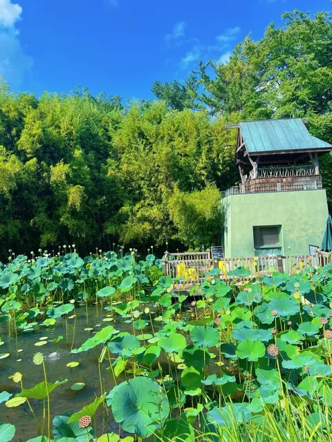 New York, New Jersey | A Superb Visit to the Sculpture Park ⛲️