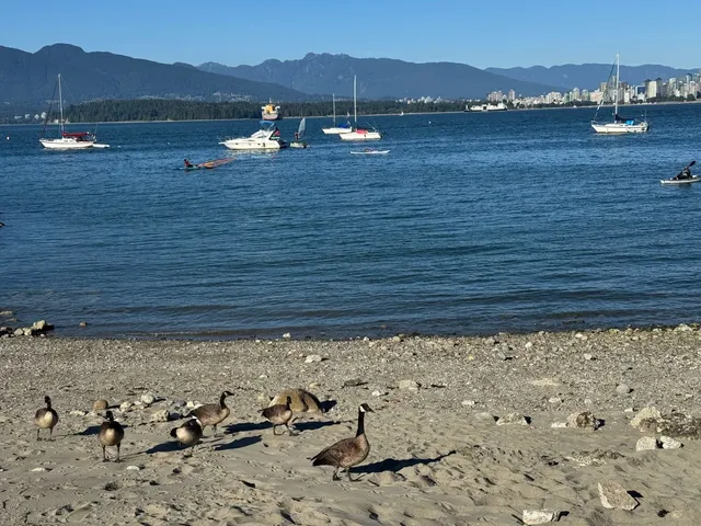 UBC Adventure | First-Time SUP at Jericho Beach 🏄♀️🐇  