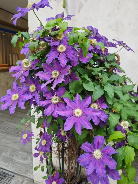 🇩🇪 Kiel: A Shopper's Surprise by the Baltic 🛍️🌊