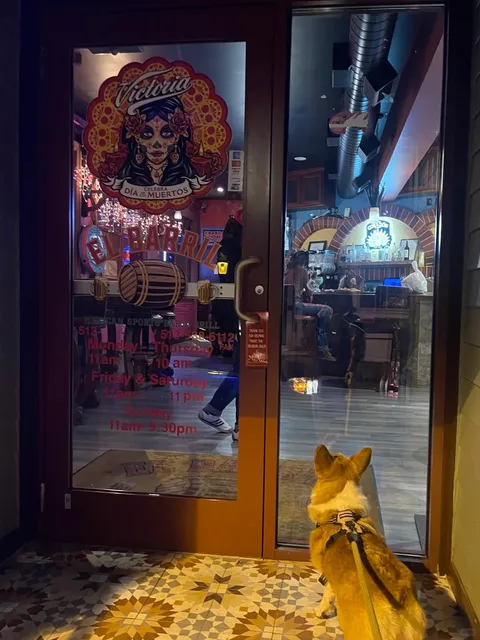 Cincinnati Food Discovery｜El Barril 🌮🐕✨