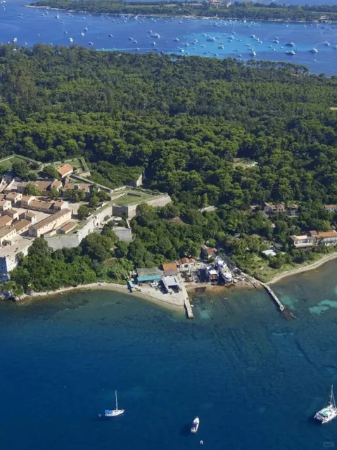 🇫🇷 Cannes Travel Guide: Where Nature Meets Cinema Magic 🎬🌊