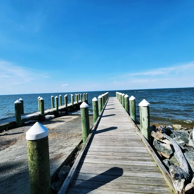 Virginia Beach: Perfect Spot for Water Fun + Camping! 🌊⛺️