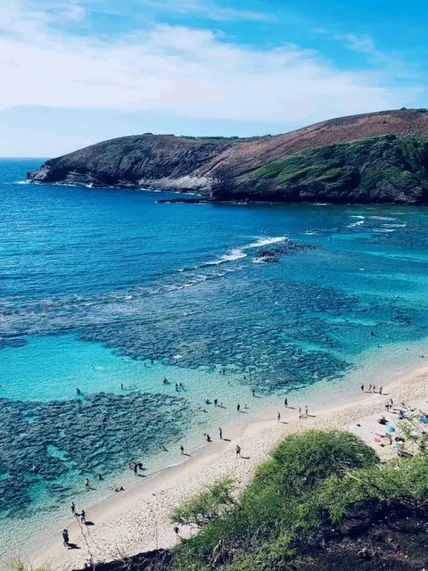 🌺🚶♀️ Honolulu’s Best-Kept Secret: Waikiki’s City Walk Vibes 