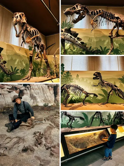 [Milan Natural History Museum] Check out minerals, dinosaurs🌳🦕🐘