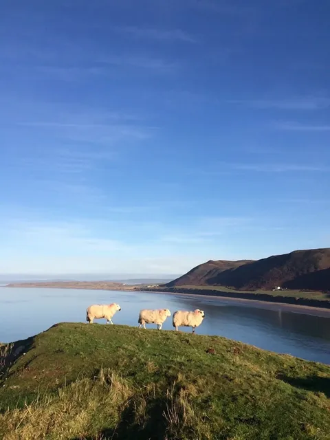 wansea ~ My Favorite UK City