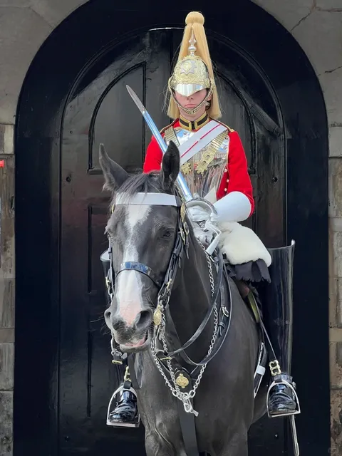 🇬🇧 Strolling Through London's Historic Heart: Horse Guards Parade 🏰