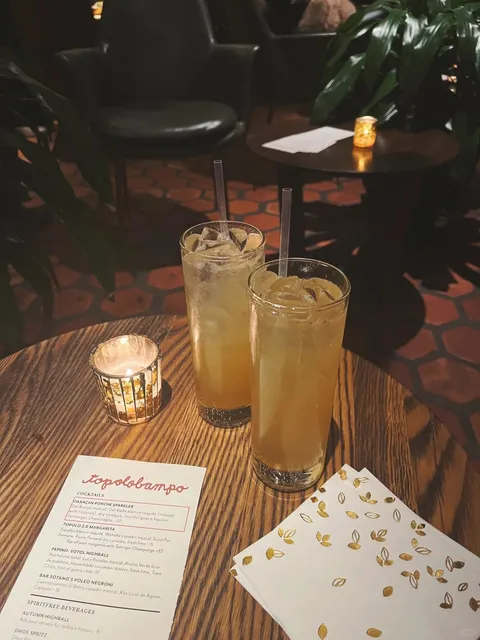 Chicago Michelin-Starred Topolobampo | A Journey into Mexican Cuisine 