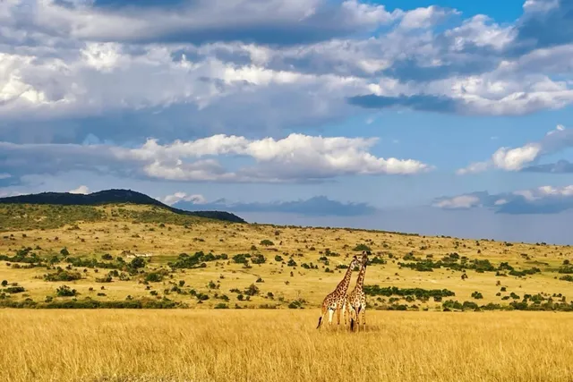 4 Years in Kenya: Must-See Travel Gems! 🌍🦒