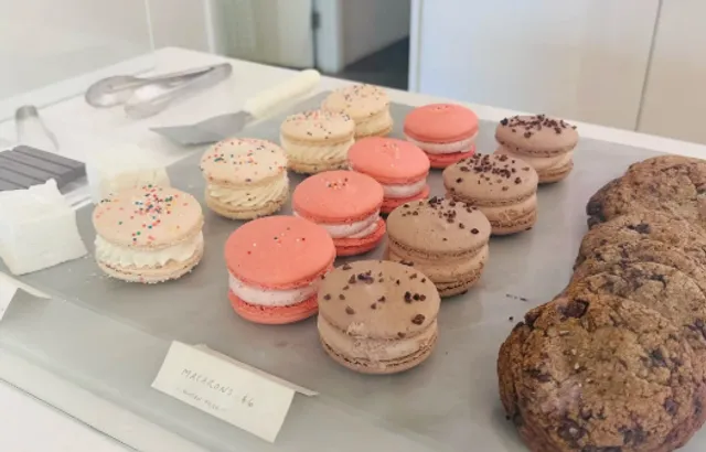 Cloudforest Cafe: A Warm Cup of Hot Chocolate in Winter ☕️