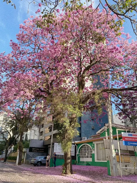  Brazil Long-Term Stay｜Visit This Must-See Town Near São Paulo!