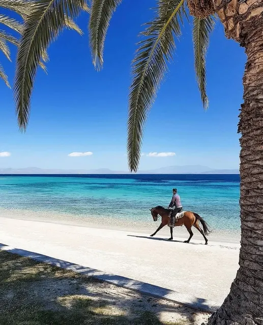 🌊 Sardinia: Mediterranean Paradise | Ultimate Travel Guide