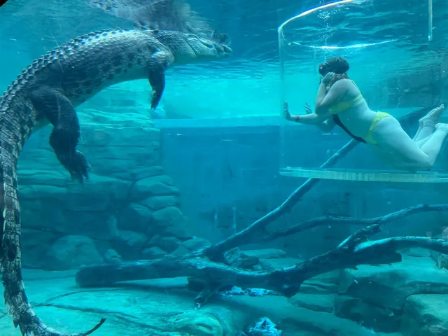 Darwin, Australia - Where Nature Meets Wildness