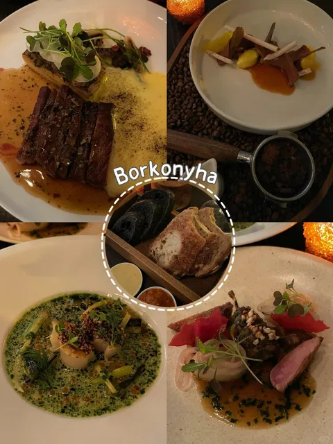 Budapest Michelin Restaurant⭐Borkonyha