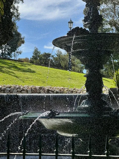 A Floral Paradise in Bendigo: Tulips, Views & Art 🌷🏛️