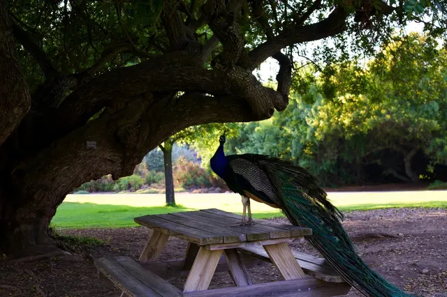 🌿 Is a 20-Minute Walk to This Botanical Garden Worth It?