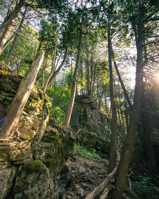 Toronto Hiking Secret Spot Exploration 👣 —— Limehouse