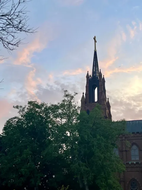 Simply The Best! 🏆✨