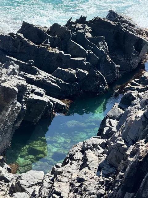  A Perfect Day on the Sunshine Coast