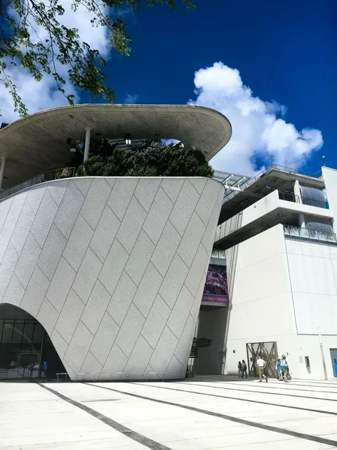 Frost Science Museum | Where Sharks Swim & Stars Shine in Miami!
