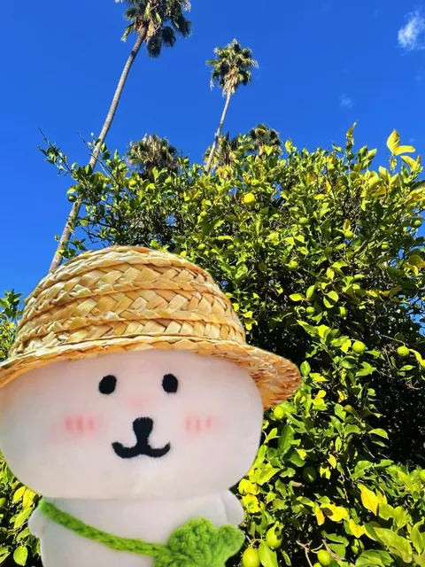 The Arboretum in Los Angeles – So Photogenic! 🌵📸