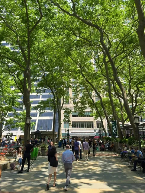 🌿 NYC’s Best Free Spots for Introverts to Recharge