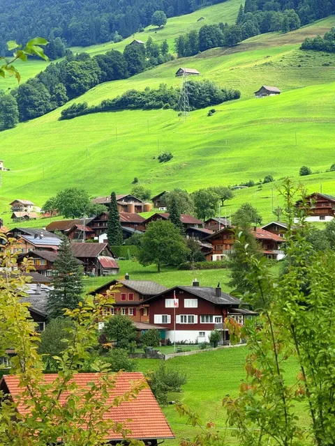 Swiss Bern Cuisine - The Ultimate Chinese Food Experience 